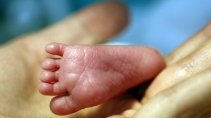 Para acompanhar melhor os bebés prematuros mesmo após a alta, o Centro Hospitalar do Baixo Vouga começou a fazer visitas domiciliárias de Neonatologia. Os pais agradecem. (Foto: Estela Silva/Lusa)