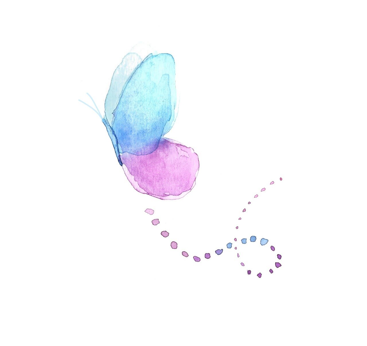 Violeta borboleta