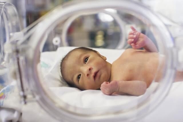 Mil dias do bebê:mil oportunidades para o crescimento e desenvolvimento
